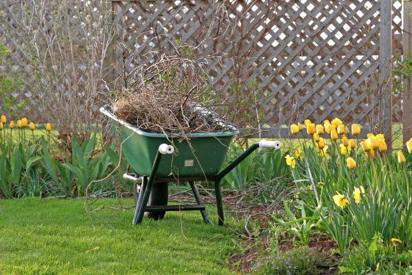 Flower Bed Cleanup Service in Magnolia
