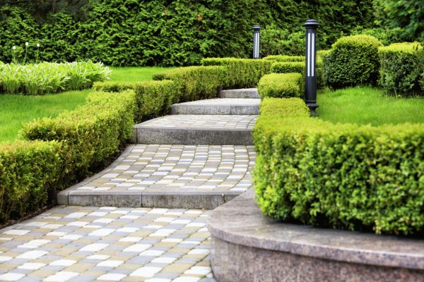 Backyard Remodeling in Magnolia