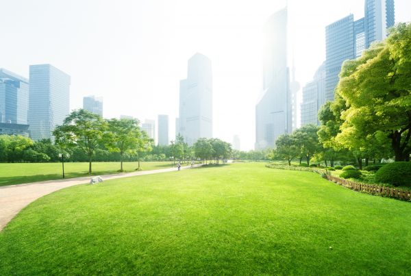 Commercial Landscape Maintenance in Magnolia