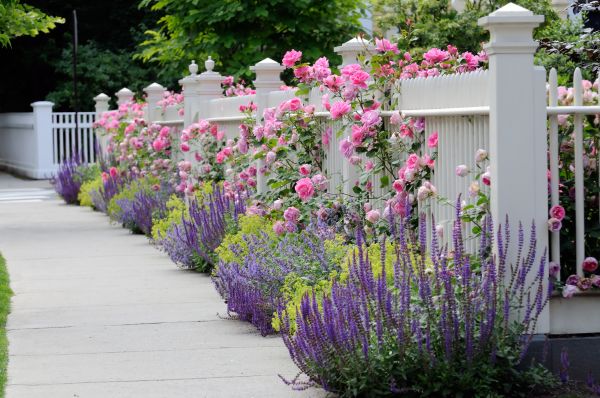 Garden Handyman Service in Magnolia