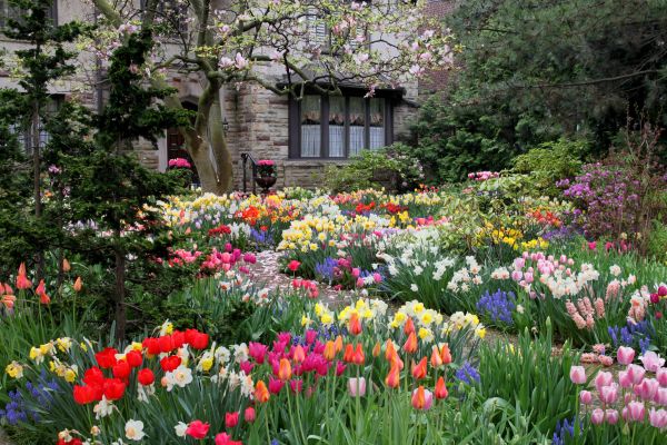 Garden Maintenance Service in Magnolia
