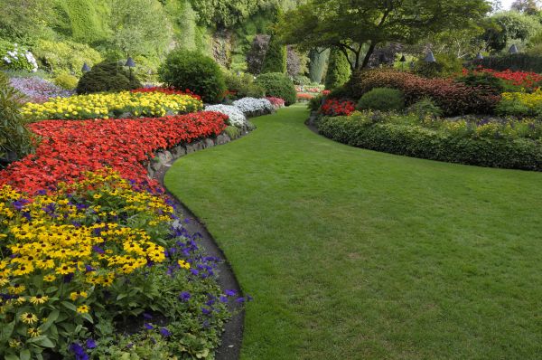 Landscaping Maintenance in Magnolia