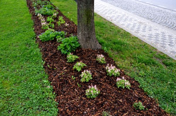Mulch Replacement Service in Magnolia