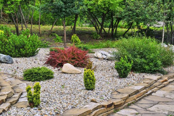Rock Landscaping in Magnolia