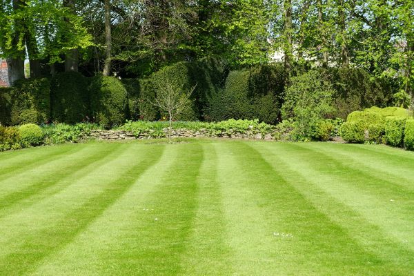 Lawn Renovation in Magnolia