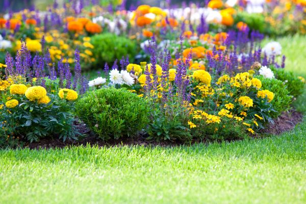 Garden Installation in Magnolia