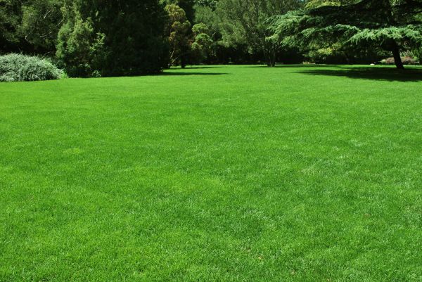 Lawn Landscaping in Magnolia
