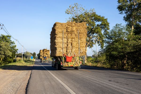 Pine Straw Delivery in Magnolia