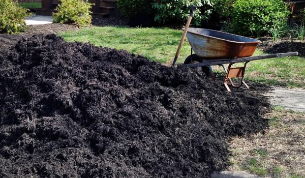 Black Mulch Delivery in Magnolia