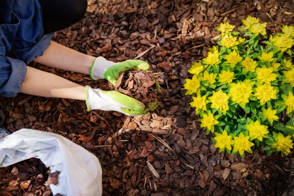 Garden Mulching in Magnolia