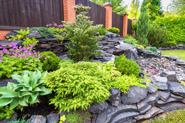Landscape Remodeling in Magnolia
