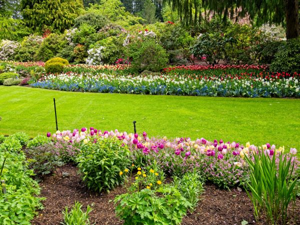 Residential Landscape Design in Magnolia