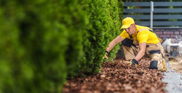 Cypress Mulch Installation in Magnolia