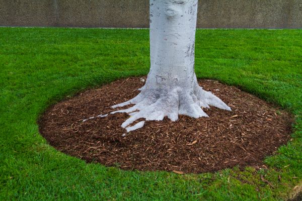 Brown Mulch Installation in Magnolia