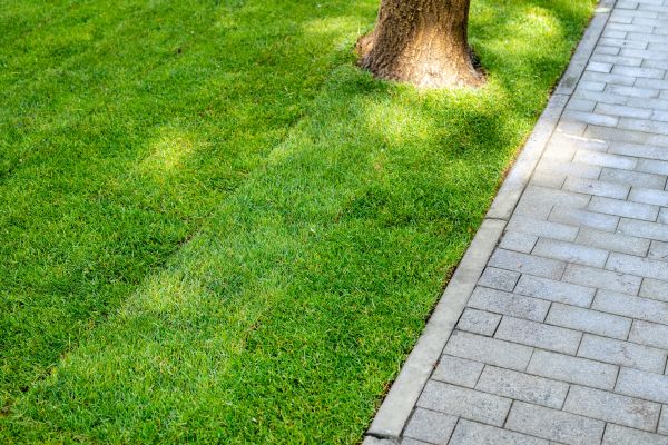 Border Stone Installation in Magnolia