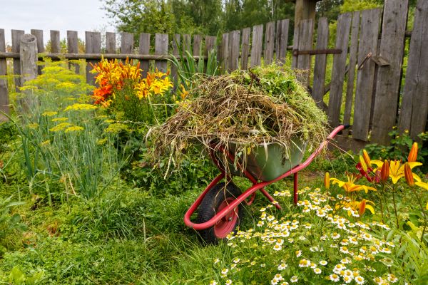 Garden Cleanup Service in Magnolia