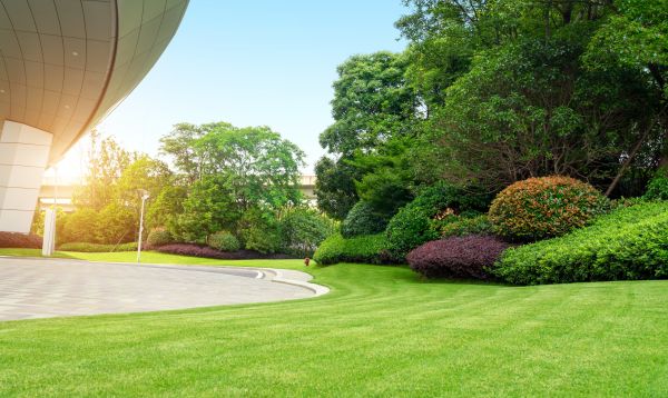 Business Landscape Design in Magnolia