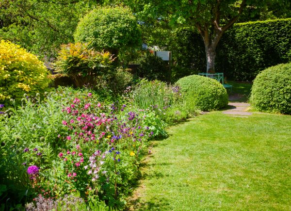 Yard Landscaping Service in Magnolia