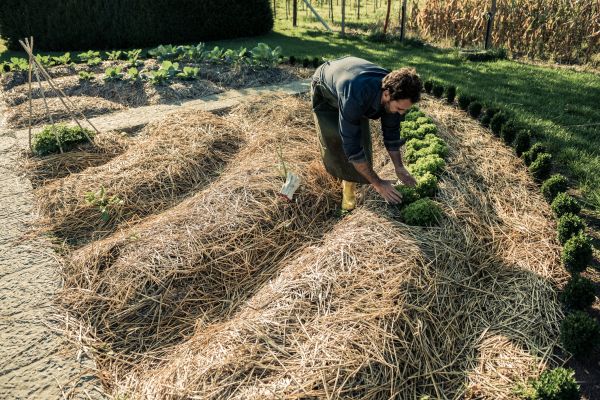 Straw Mulching Service in Magnolia