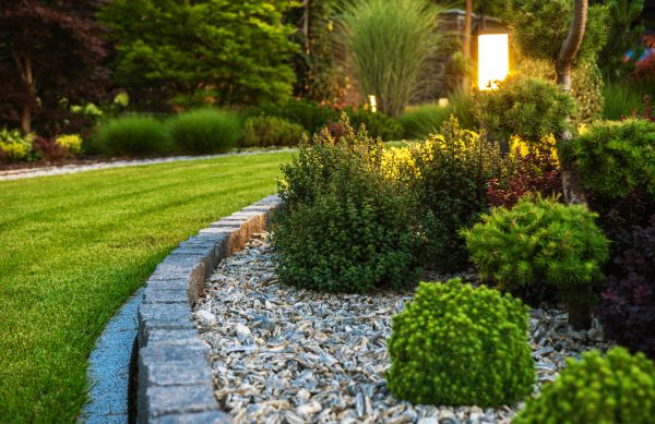 Landscaping Service in Magnolia