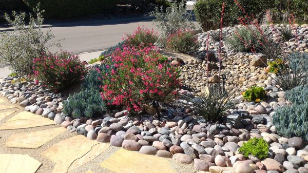 Xeriscape Landscaping in Magnolia