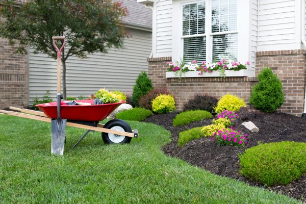 Tree And Shrub Planting in Magnolia
