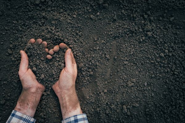 Soil Installation in Magnolia