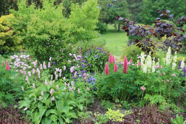 Flower Bed Planting in Magnolia
