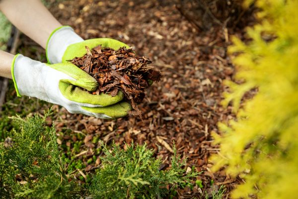 Garden Mulch Delivery in Magnolia