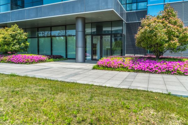 Commercial Gardening in Magnolia