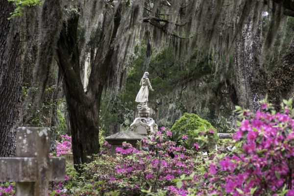 Cemetery Landscaping in Magnolia