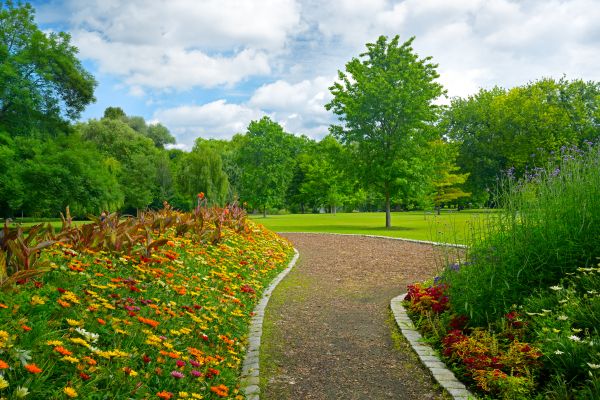 Park Landscaping in Magnolia