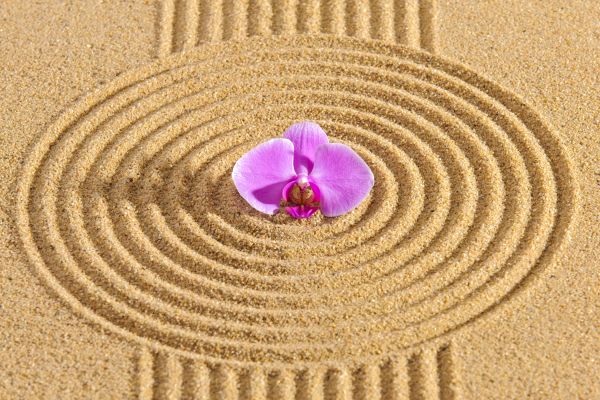 Sand Garden Landscaping in Magnolia