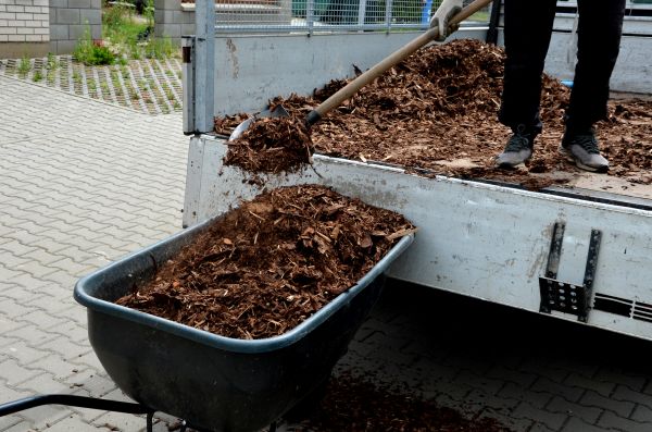 Cypress Mulch Delivery in Magnolia