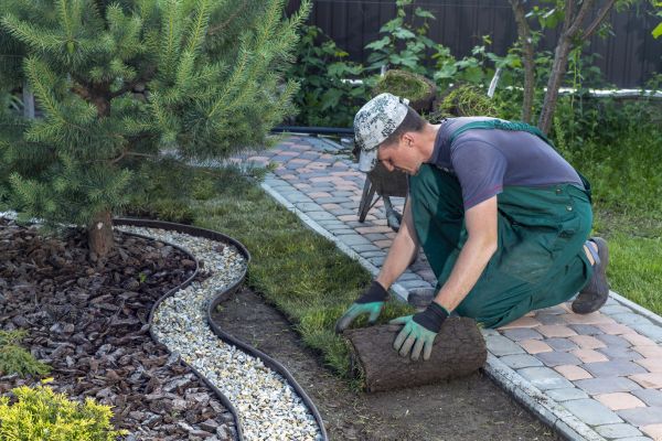 Landscaping Modification in Magnolia