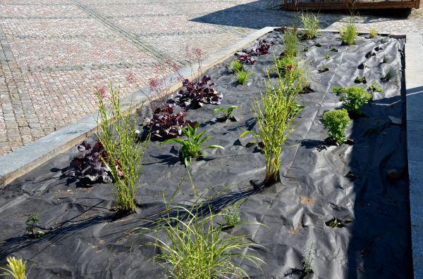Landscape Fabric Installation in Magnolia