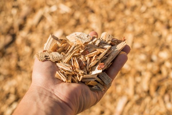 Wood Chips Spreading in Magnolia