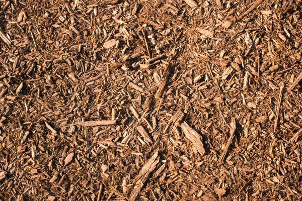 Wood Chips Removal in Magnolia