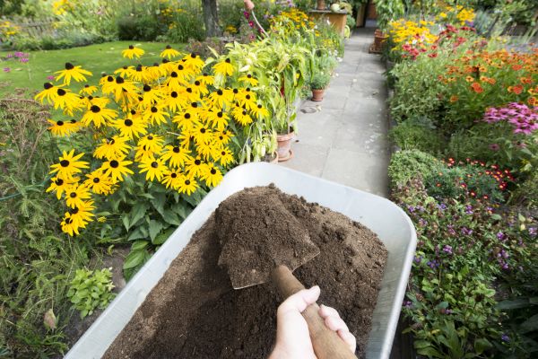 Topsoil Replacement in Magnolia