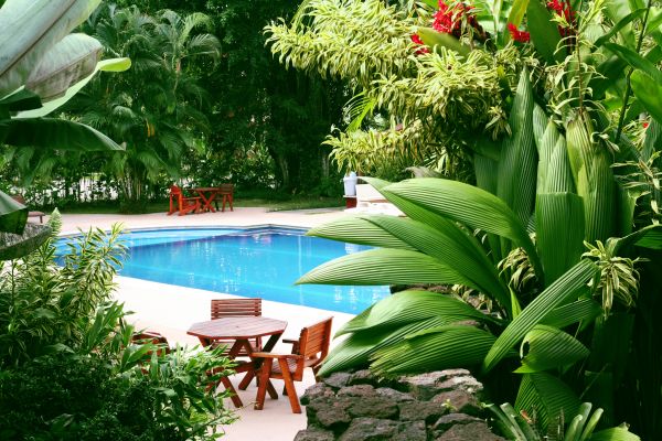 Pool Area Landscaping in Magnolia