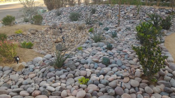 Yard Xeriscaping in Magnolia