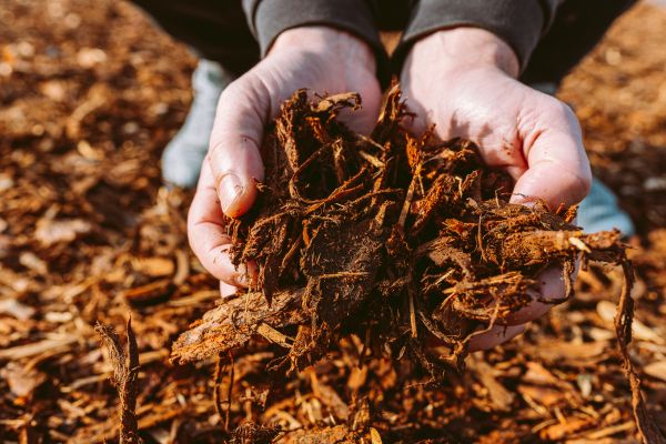 Bark Chips Delivery in Magnolia