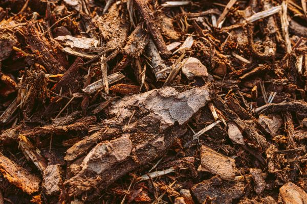 Bark Mulch Delivery in Magnolia