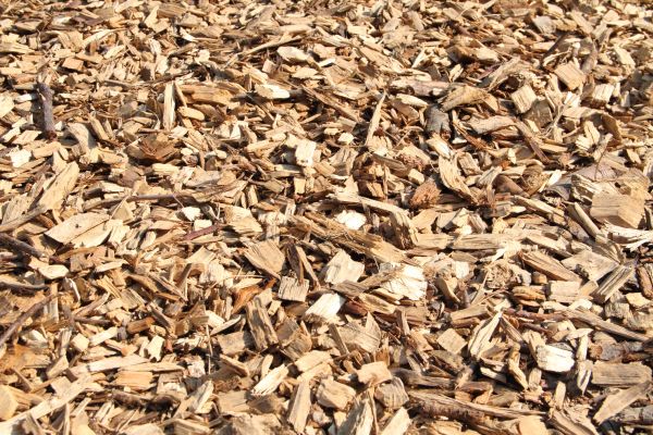 Wood Mulch Delivery in Magnolia
