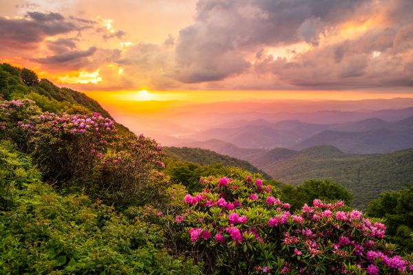 Hill Landscaping in Magnolia
