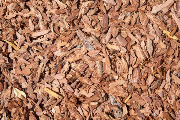 Pine Mulch Spreading in Magnolia