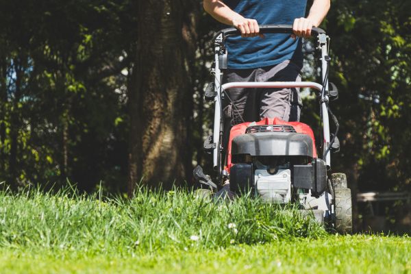 Garden Trimming Service in Magnolia