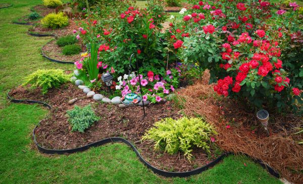 Floral Landscaping in Magnolia