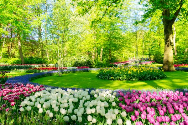 Flower Landscaping in Magnolia