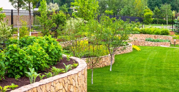 Yard Makeover Service in Magnolia